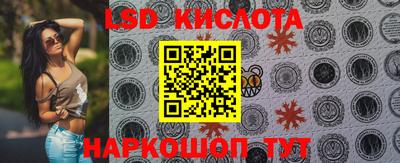 МДПВ Новодвинск