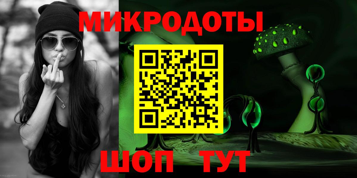 Галлюциногенные грибы Psilocybe Северобайкальск