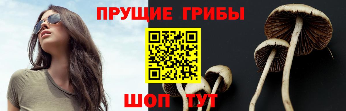 Северобайкальск  Галлюциногенные грибы мухоморы  закладки  Вход с VPN  Галлюциногенные грибы мухоморы 